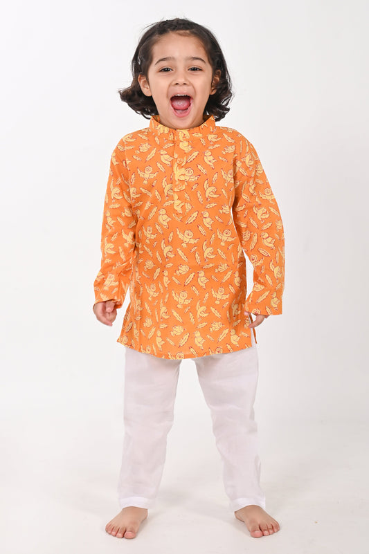 Chidiya Udd- Unisex Rust Kurta